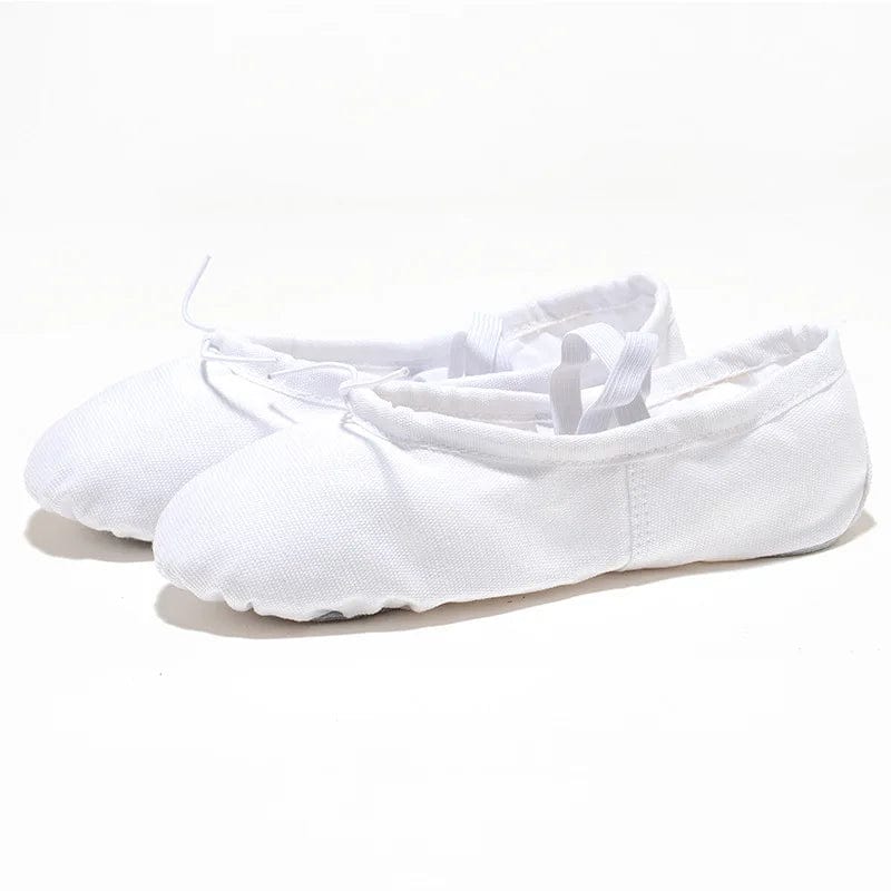 chausson danseuse  white / 43(25cm)