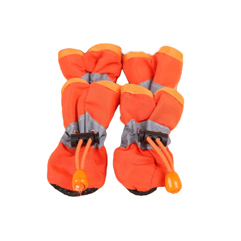 chausson de protection pour chien Orange / XXS