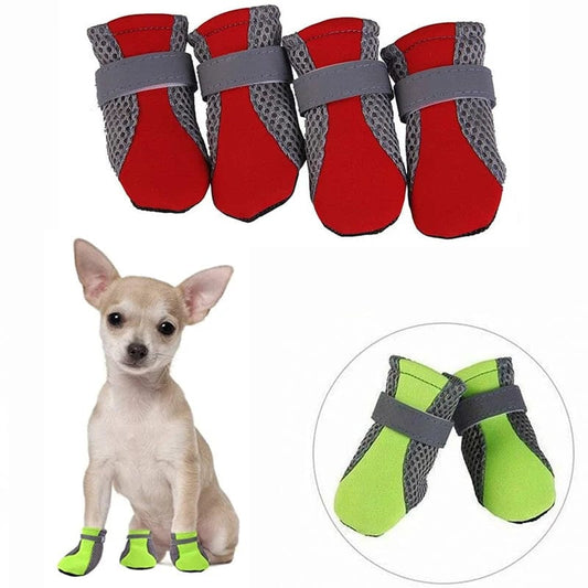 chausson pour chien ete