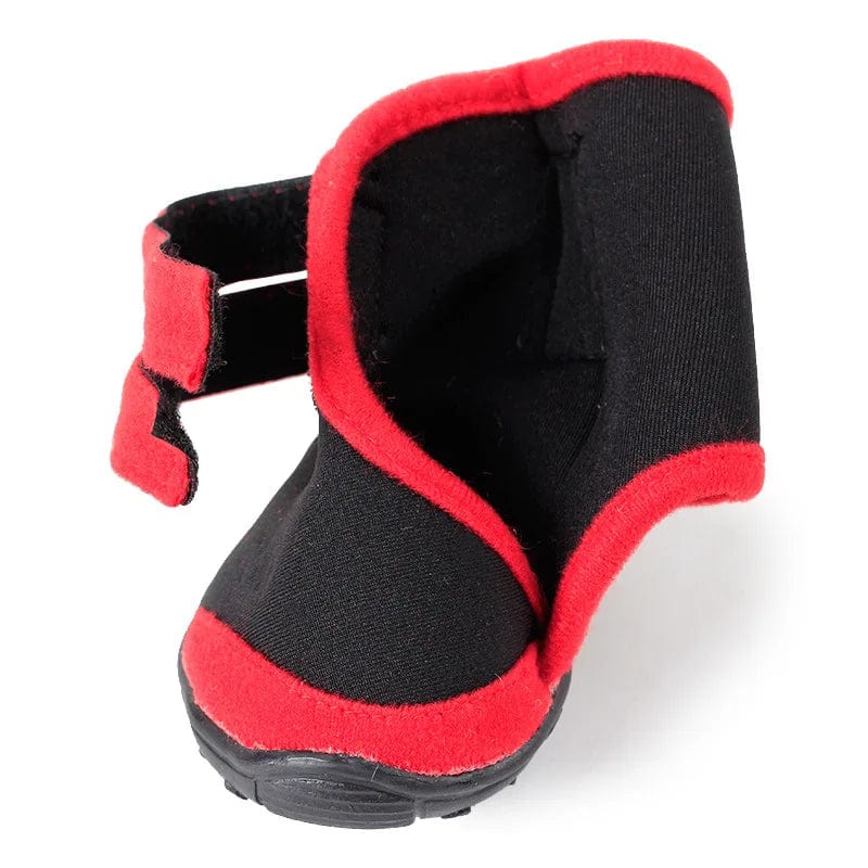 chausson pour petits chiens