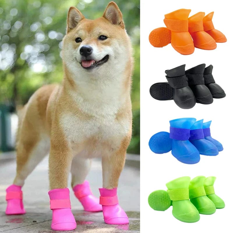 chaussons antidérapant chien