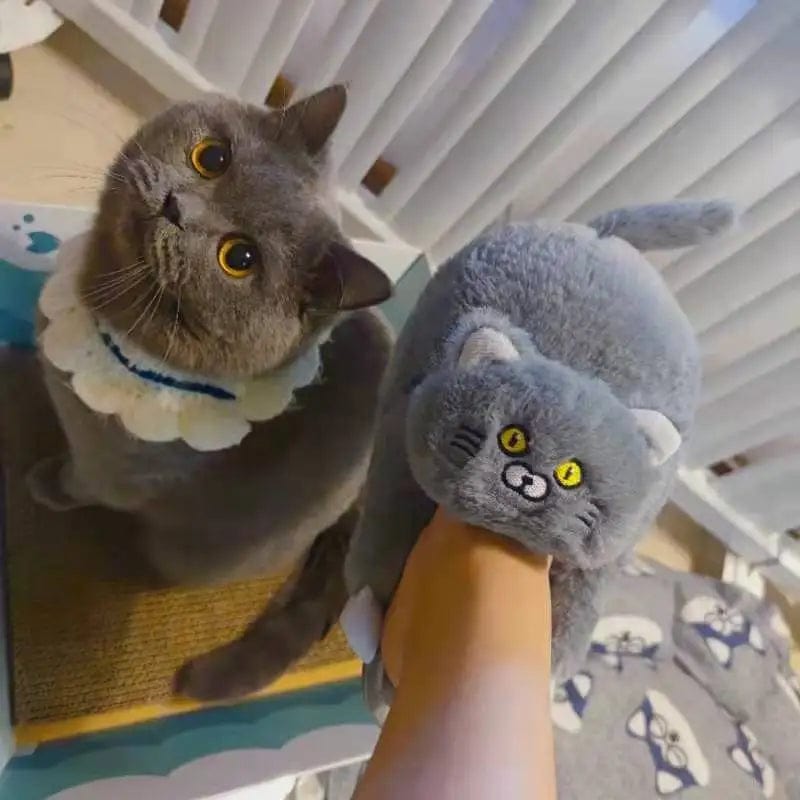 chaussons chat