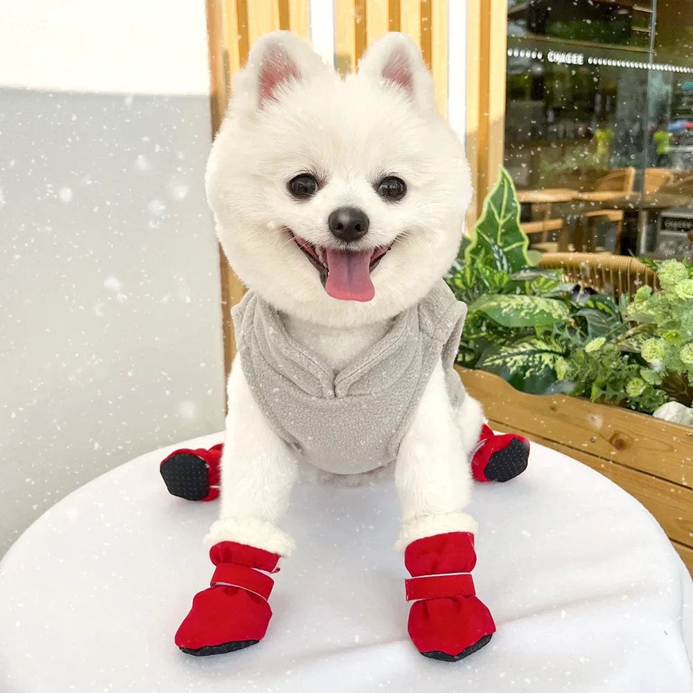 chaussons de neige pour chien