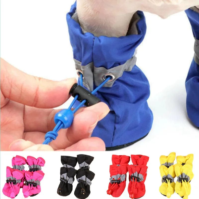 chaussons protection pour chien